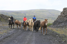 Iceland-East and South-Icelandic Farmlands